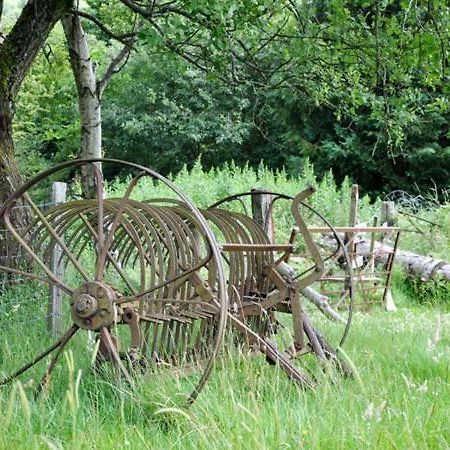 Hendre Aled Cottage 1 Llansannan Dış mekan fotoğraf