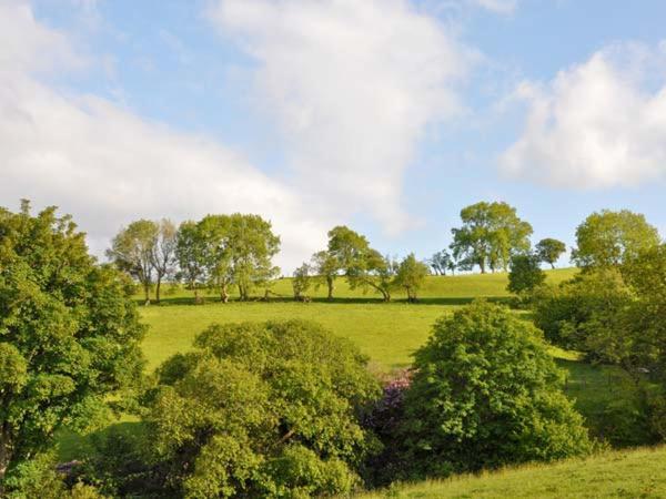 Hendre Aled Cottage 1 Llansannan Dış mekan fotoğraf
